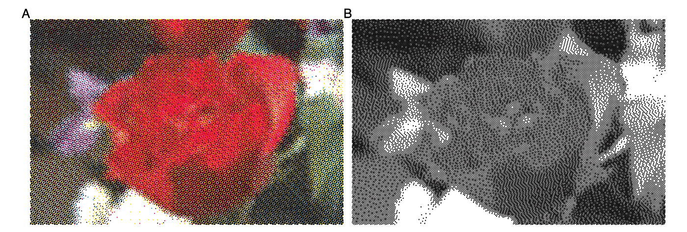 A photograph as a four-colour process screen and as a one-ink newspaper screen